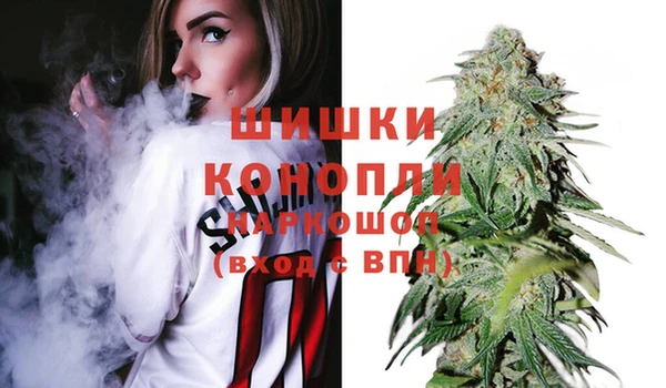 дмт Алзамай