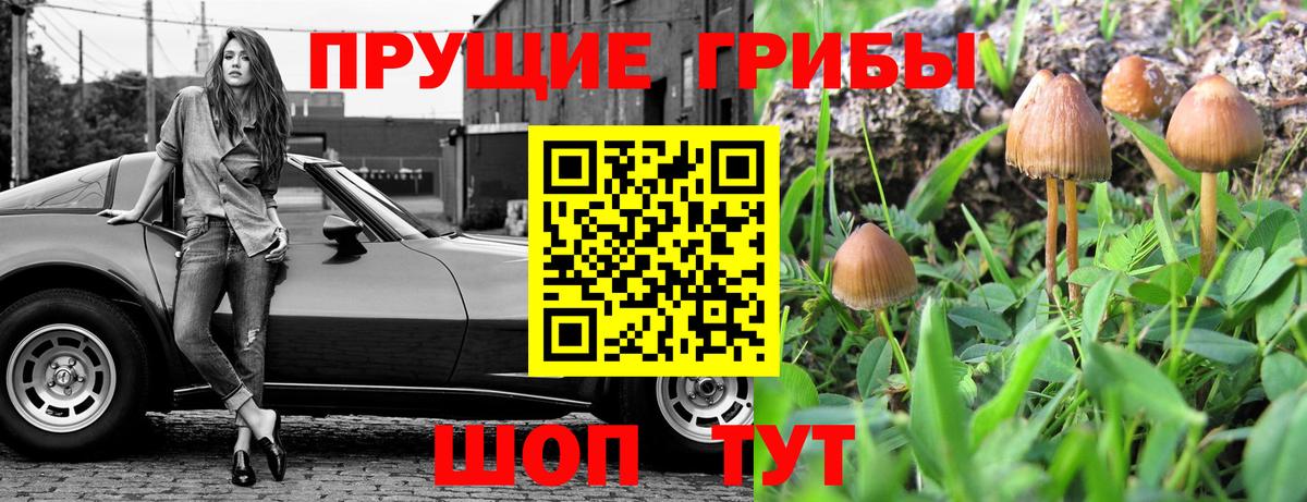 Галлюциногенные грибы GOLDEN TEACHER  Вход с VPN  Карабулак 
