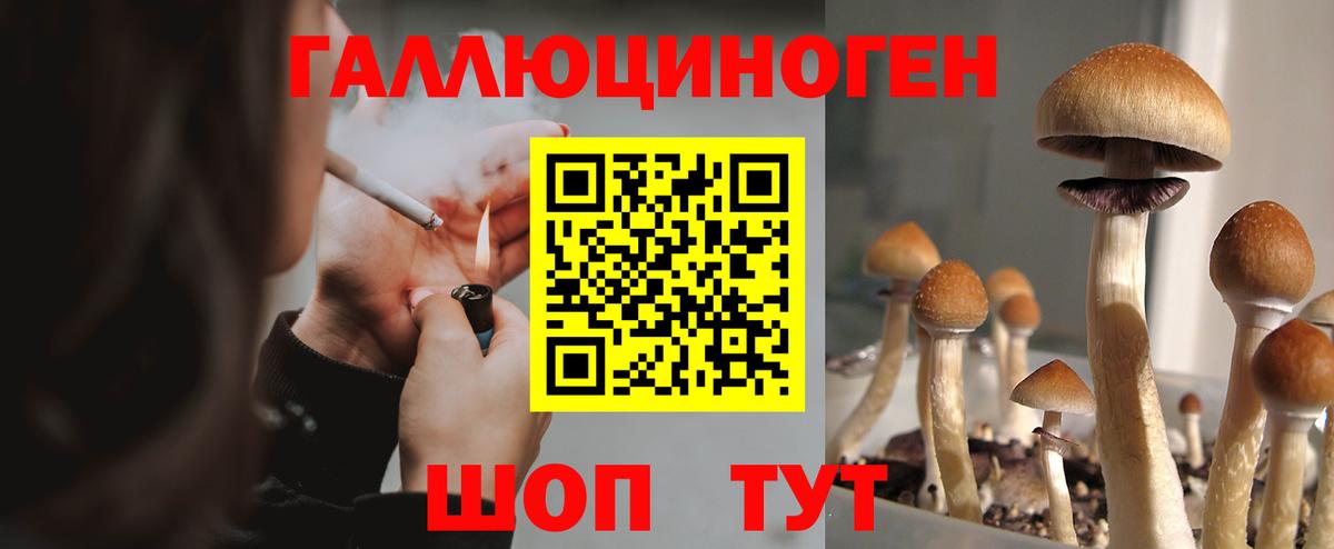Галлюциногенные грибы GOLDEN TEACHER Карабулак